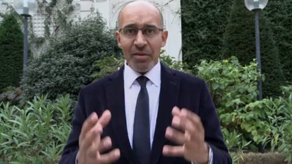 Point presse d'Harlem Désir suite aux débordements en marge des cérémonies du 11 novembre
