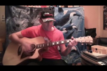 Cole Clark FL2ac3 (Fat Lady 2) acoustic guitar review by Lonehawk316