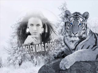 Dj Kardelen Apple vs.Pınar Aylin Adam Olaydın Remix