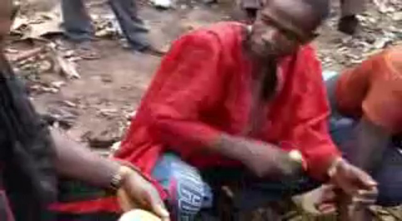 The Great African Scandal