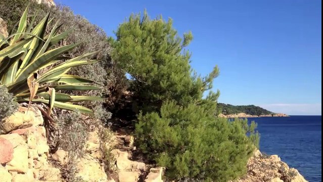 Plage Ramatuelle / Plage saint Tropez / Beach