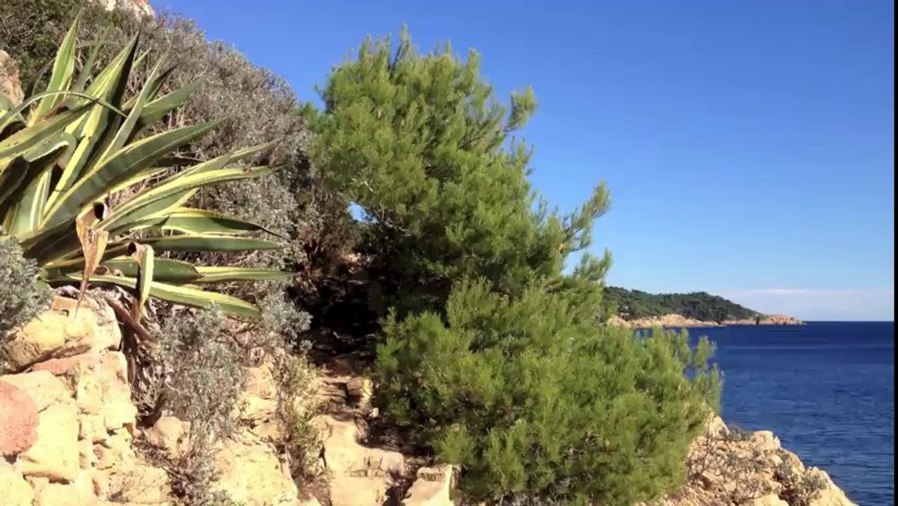 Plage Ramatuelle / Plage saint Tropez / Beach