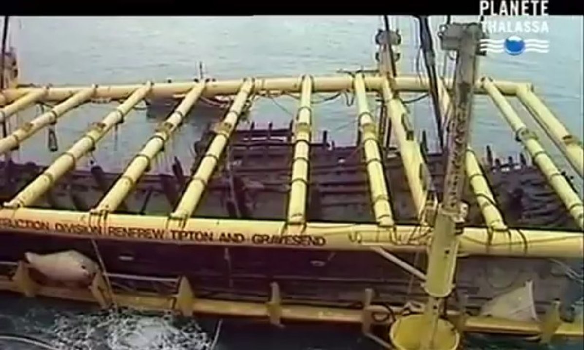 Naufrages - Les secrets du Mary Rose
