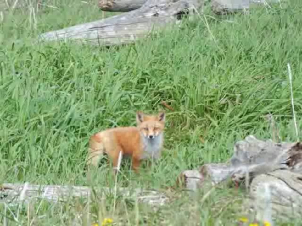France Bleu Isère 07112013 1ère partie