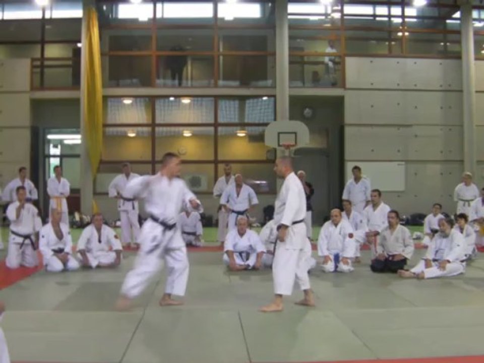 diaporama du STAGE NATIONALde regroupement des ECOLES DE TAI-JITSU; novembre 20