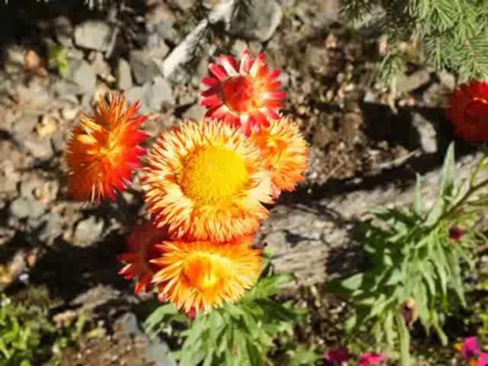 France Bleu Isère 07112013 2ème partie