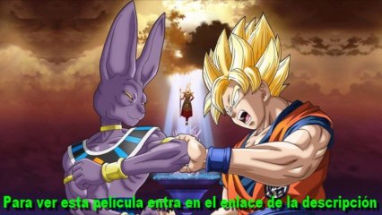 Dragon Ball Z: La batalla de los dioses Ver online en latino