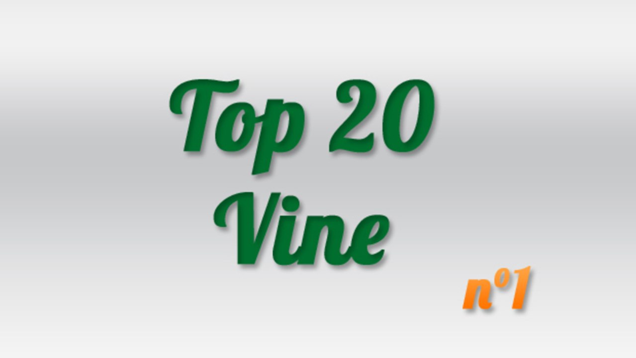 Top 20 Best Vines Video Week #1