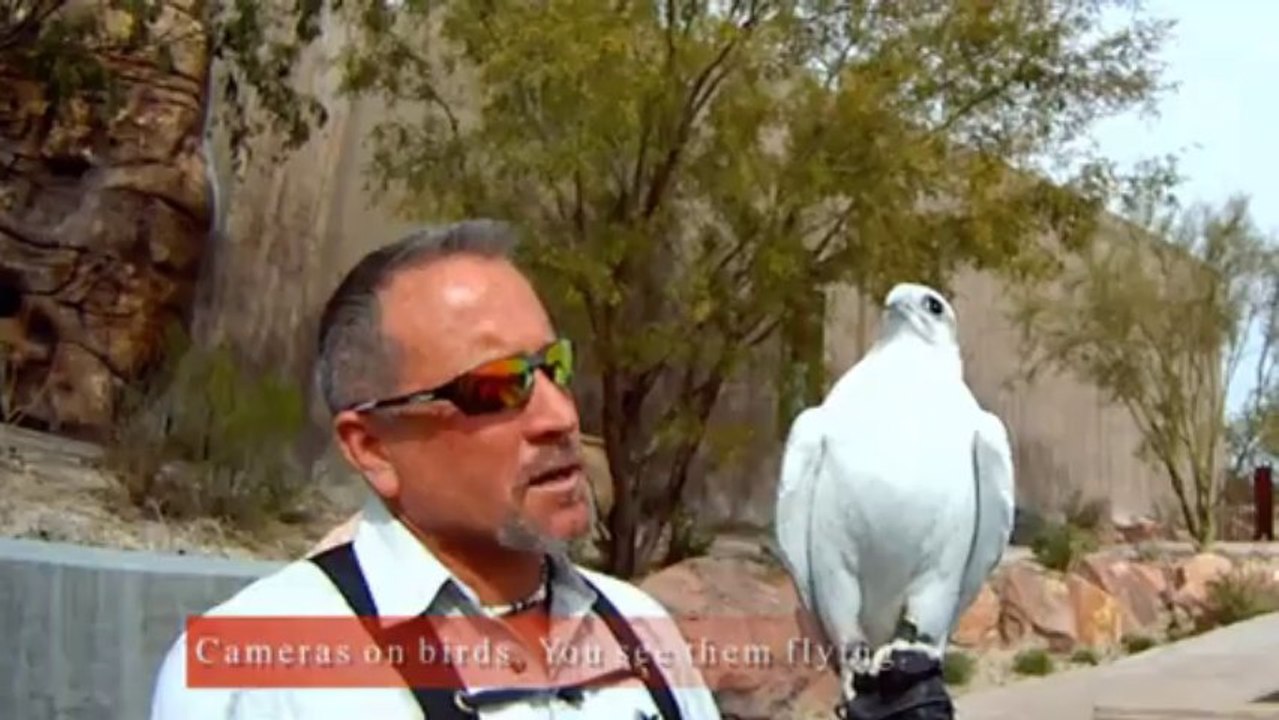 AMAZING ANIMALS RAPTURE SPRINGS PRESERVE LAS VEGAS