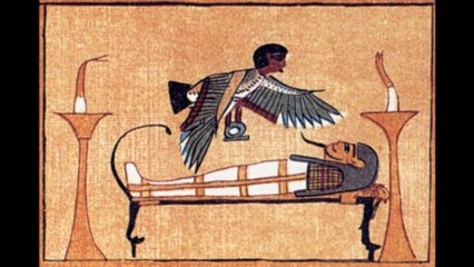 vidéo Mozart ou le génie de la lumière d'apès un texte de Brice Saint Cricq  3 Septembre 2009