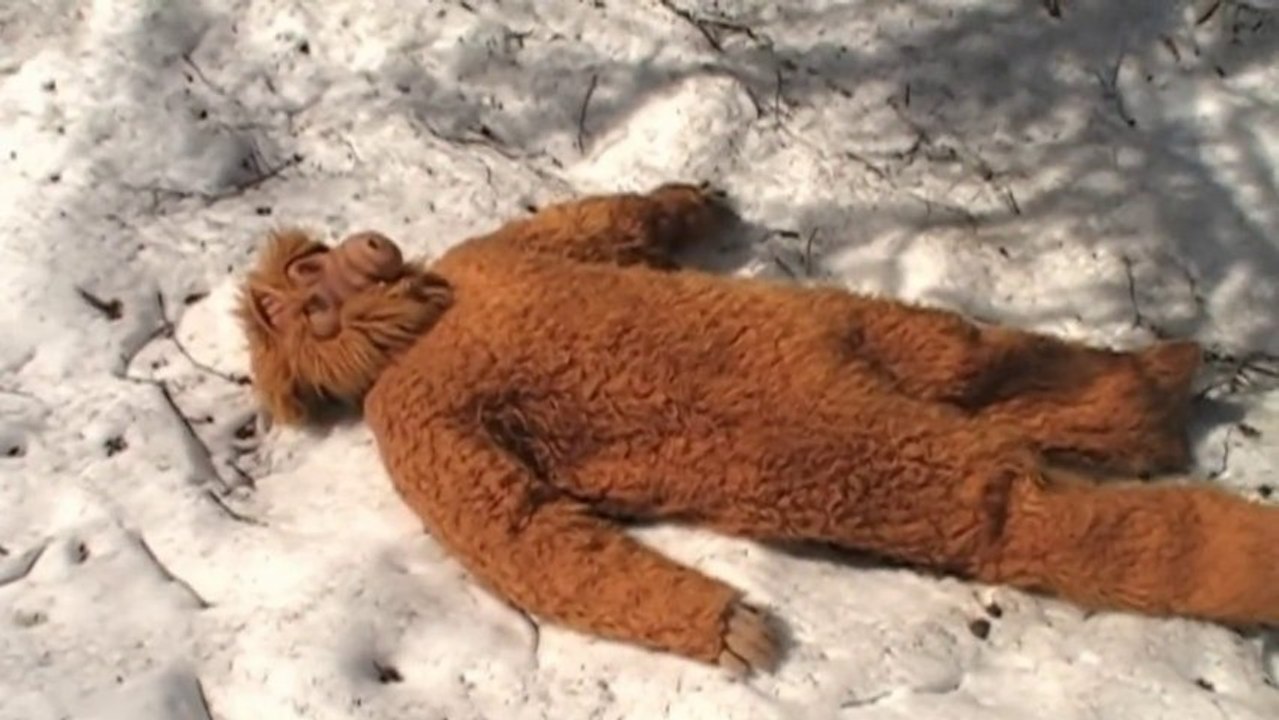Another Dead alien found in UFO hotspot in Russia ; ALF translation