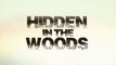 Hidden in The Woods trailer