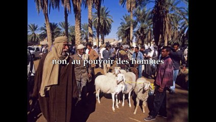 lancement  du roman La gazelle blanche de Brice Saint Cricq