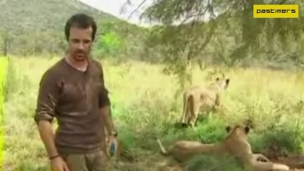 A Man Friendship With 38 Lions