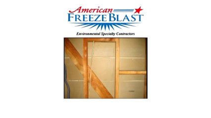 Mold Remediation Simi Valley