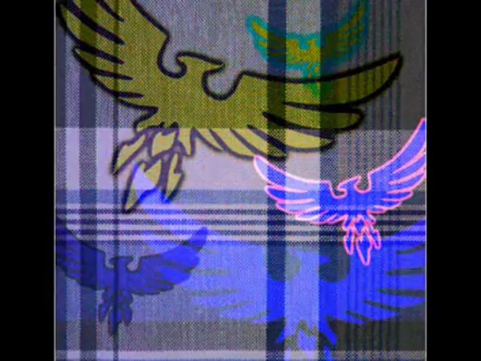 create Your own Photos & Designs with Beautiful Canvas Prints