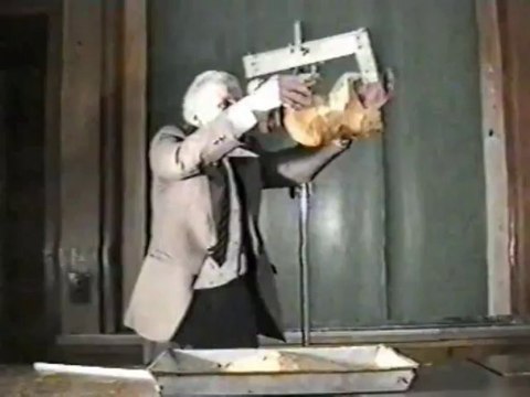 Кошка Конопаткина