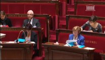 Intervention en séance publique sur les droits et protection des personnes faisant l’objet des soins psychiatriques, le 19 septembre 2013