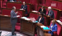 Intervention en séance publique du député rapporteur de la mission santé mentale sur les droits et protection des personnes faisant l’objet des soins psychiatriques le 19 septembre 2013