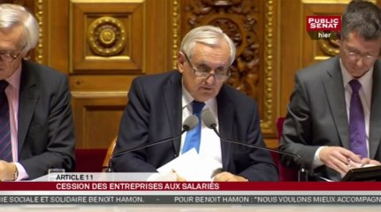 En Séance - Projet de loi relatif à l'économie social et solidaire