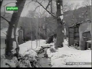 Muzaffer Akgün Aman Aman Halim Yaman 1965