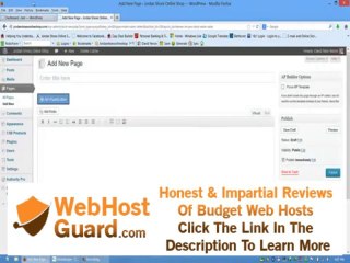 1and1 Hosting Issue - Wordpress + Authority Pro 3