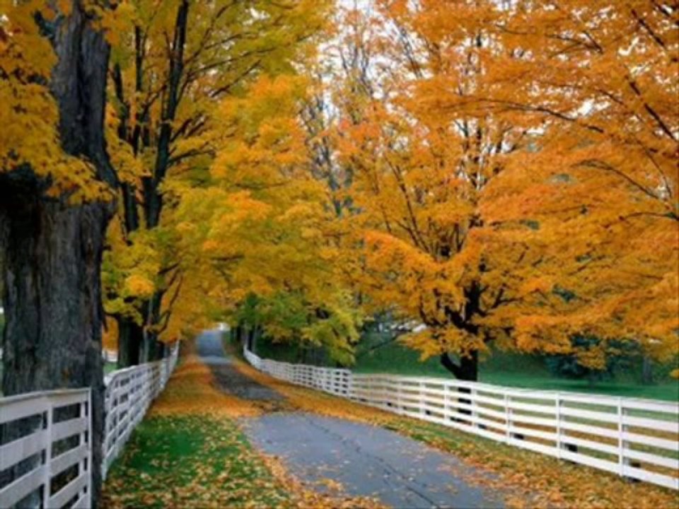 Neşe Can-Yine Hazan Mevsimi Geldi