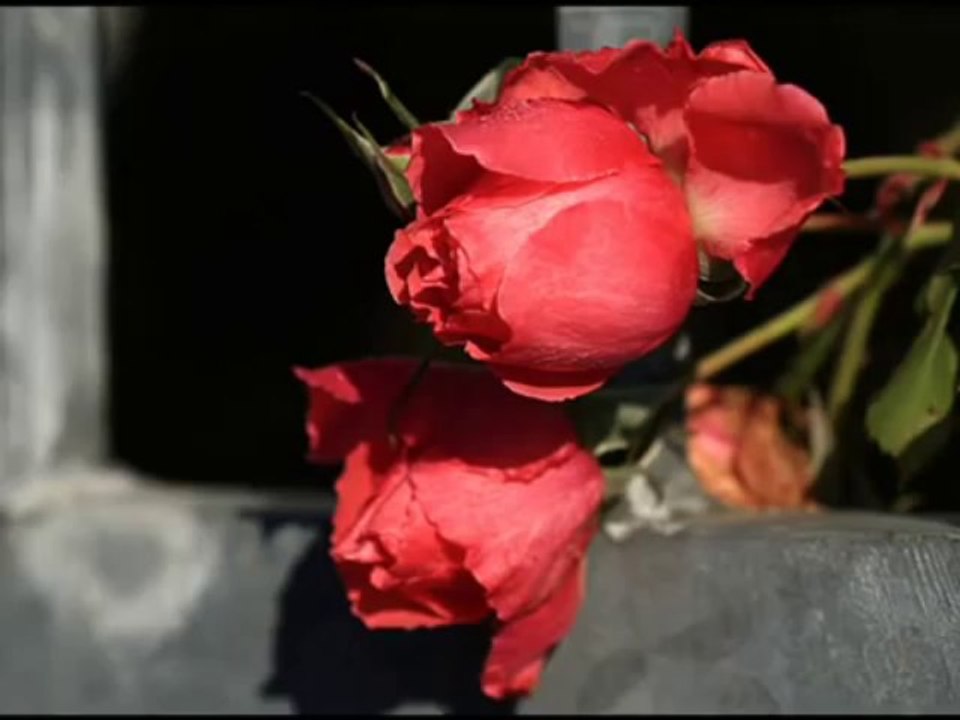 Özlem Özdil - Gönlüm Daglarda