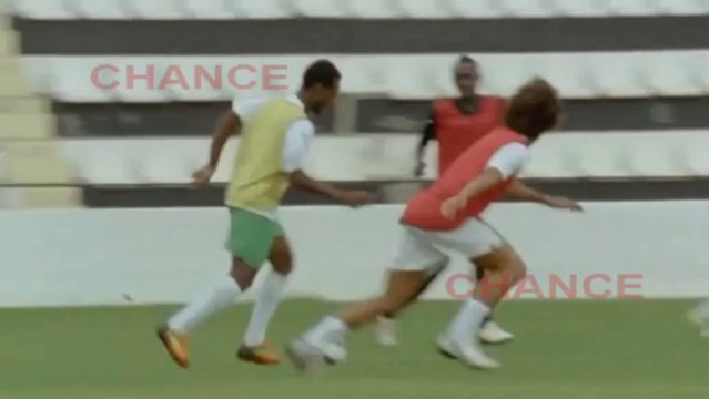 85.000 firmas contra el tráfico de los 'Diamantes negros'