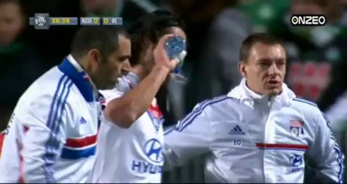 MATCHES ASSE L1 13-14 : AS SAINT ETIENNE - OLYMPIQUE LYONNAIS