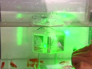 «Цилиндр-невидимка» скрывает предметы от глаз