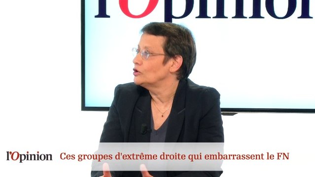 Décryptage : Ces groupes d'extrême droite qui embarrasse le Front National