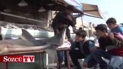 Şanlıurfalıları şaşkına çevirdi