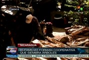 Campesinos nicaragüenses crean una cooperativa autosustentable