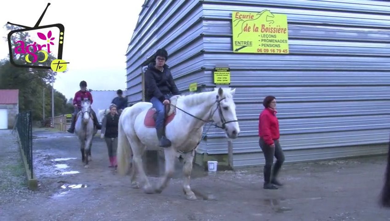 TVA activités équestres : 'Il faut poursuivre la mobilisation'