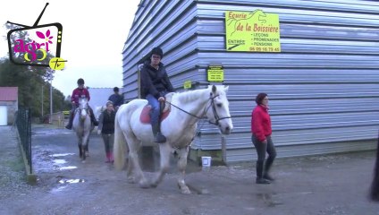 TVA activités équestres : 'Il faut poursuivre la mobilisation'