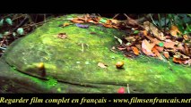Il était une Forêt Regarder film en entier Online gratuitement entièrement en français