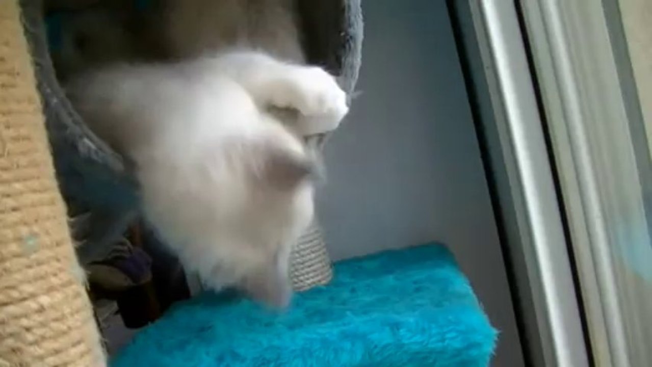 Ilena n Iloullig00046