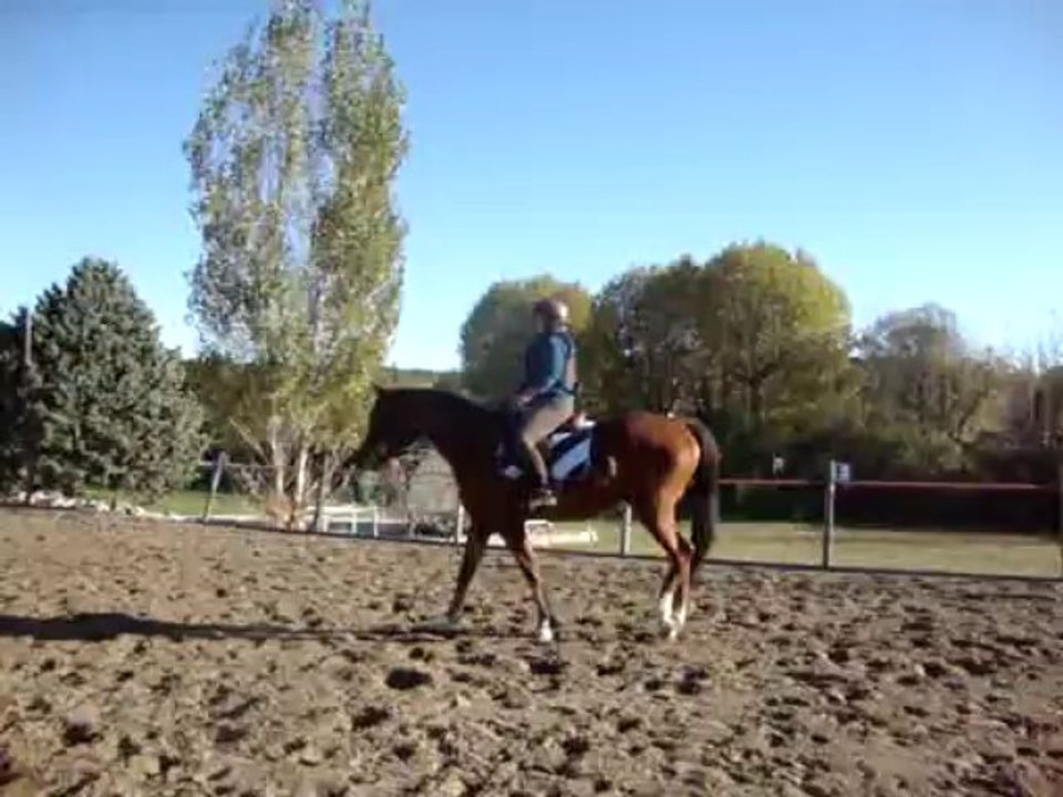 DEBOURRAGE - 12/11/13 - Transitions