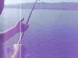 Bilent Yıldırım Sazan avı 3 (carp fishing)