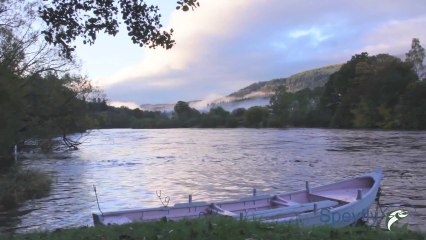 Speyfly.co.uk - Salmon Fishing in Scotland 2014