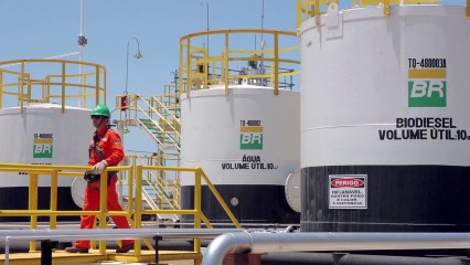 Direto da Bolsa -12 de Novembro - 2ª Edição
