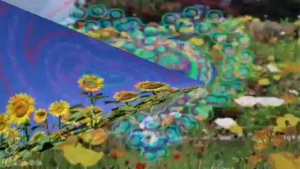 Dała byk Ci Dała - Kapela Górole