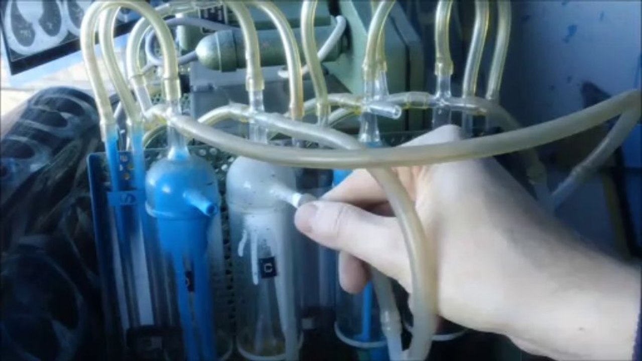 L'Hôpital des Trois Oursons (11/11/13)