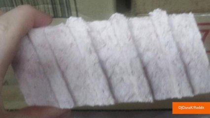 Photo of Supposed Frozen McDonald's McRib is Terrifying