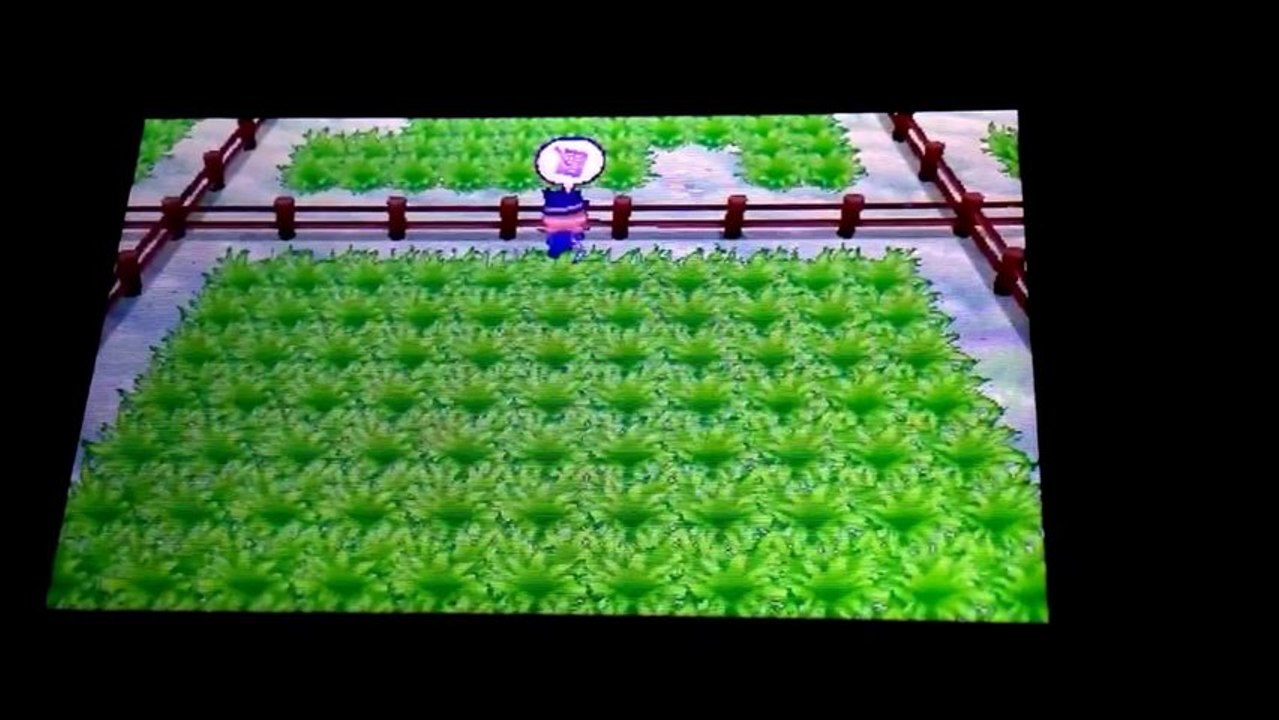 Pokemon Y: A Shiny Noibat Swoops In 23 REs After Fraxure!