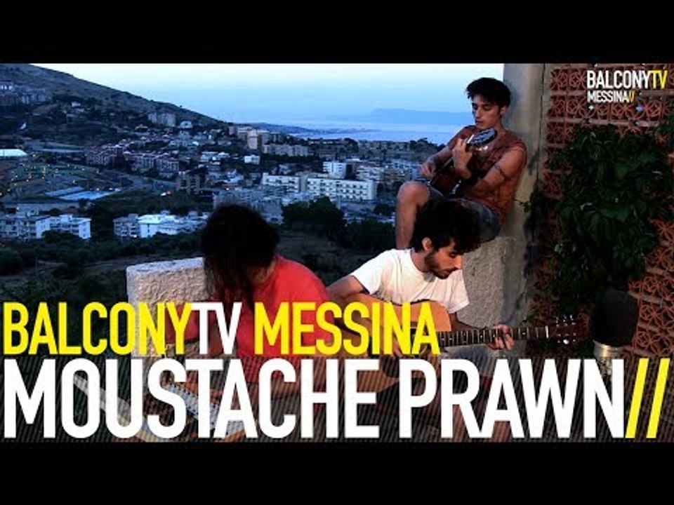 MOUSTACHE PRAWN - PULLOVER (BalconyTV)