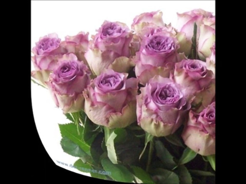 Zyber Avdiu Te Lutem Oh Zot