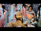 Durga Maa: In full glory at Kolkata Puja pandal