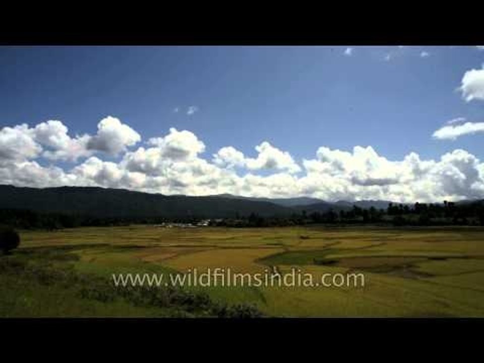 Clouds at Ziro: Best visual experience at the valley